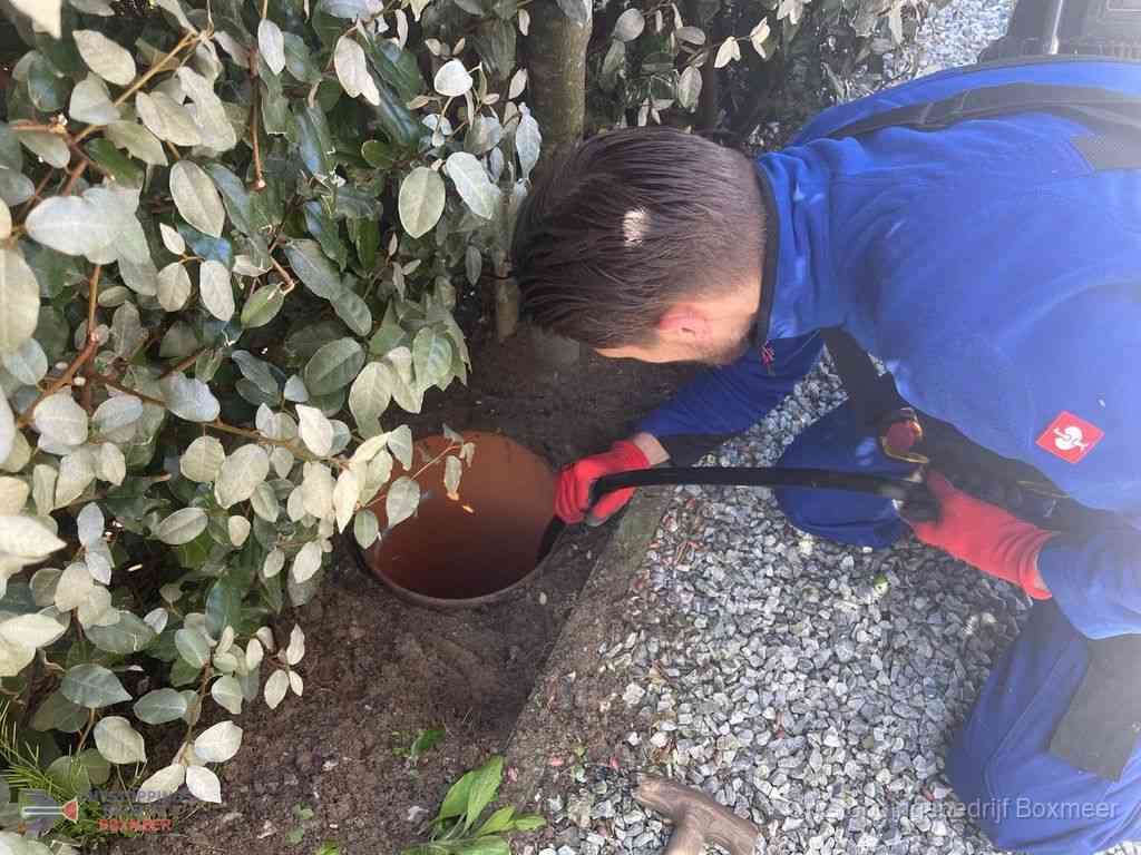 Rioolvliegjes Boxmeer Rioolvliegjes Boxmeer